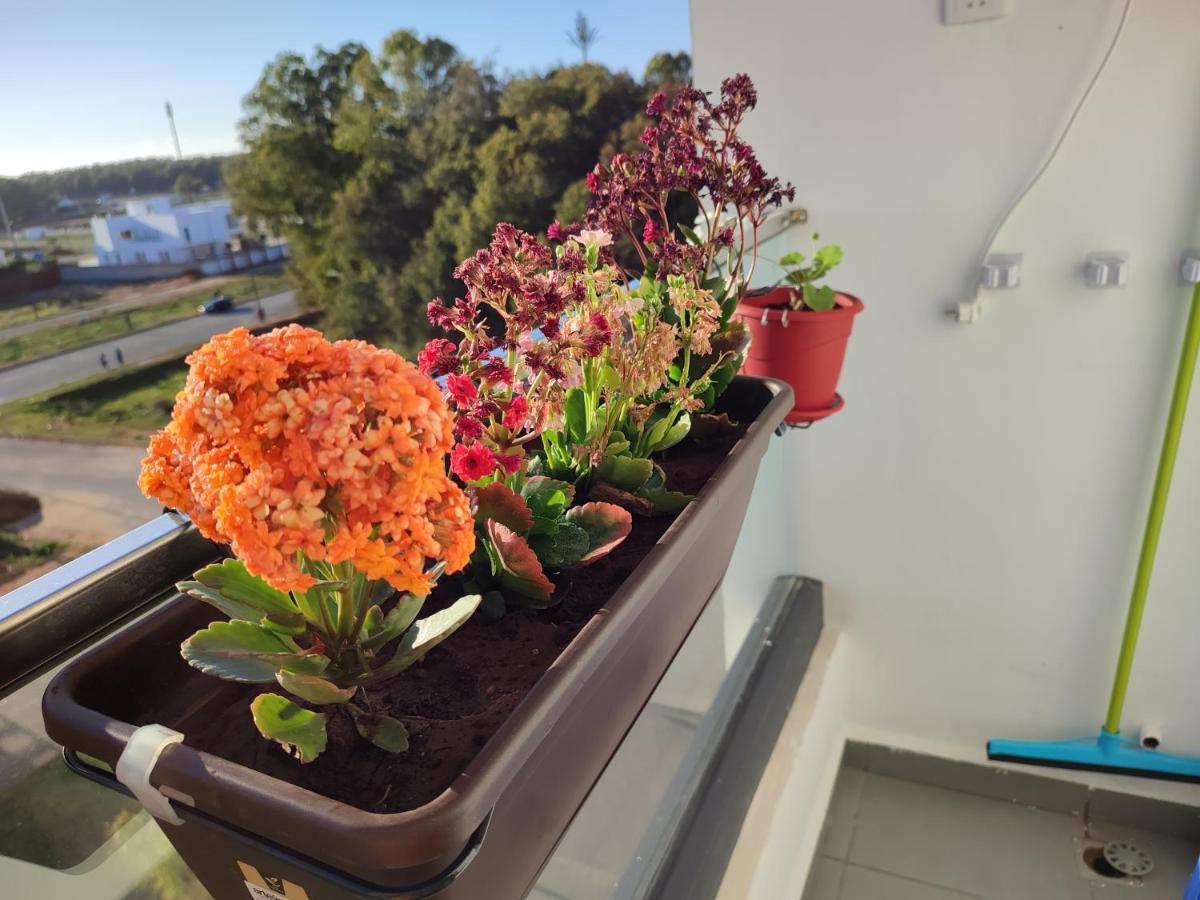 L'Orchidee De Kenitra Lägenhet Exteriör bild